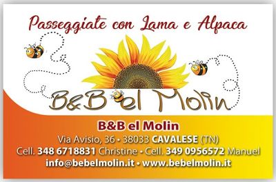 B&B el Molin (Cavalese)